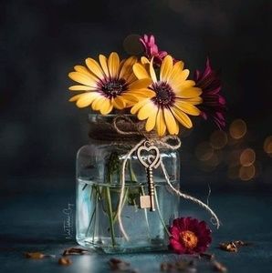 Meet your Posher, Janice